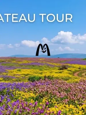 Kaas Plateau Tour from Mumbai by Mumbai Travel Club poster