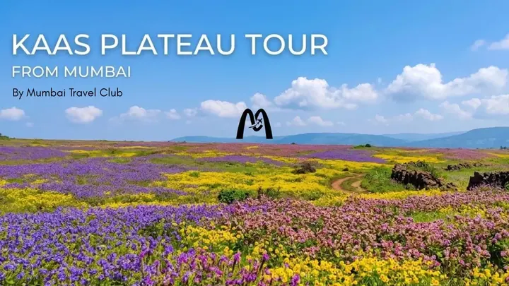 Kaas Plateau Tour from Mumbai by Mumbai Travel Club poster