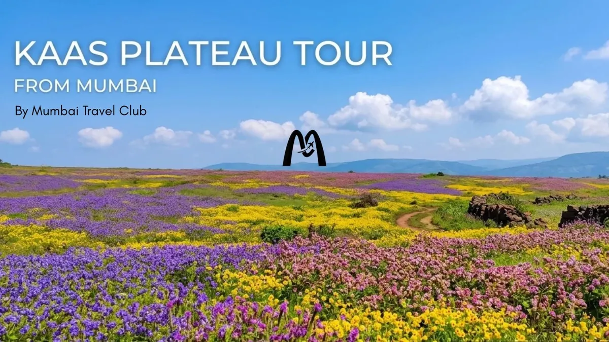 Kaas Plateau Tour from Mumbai - Kaas Pathar Trip