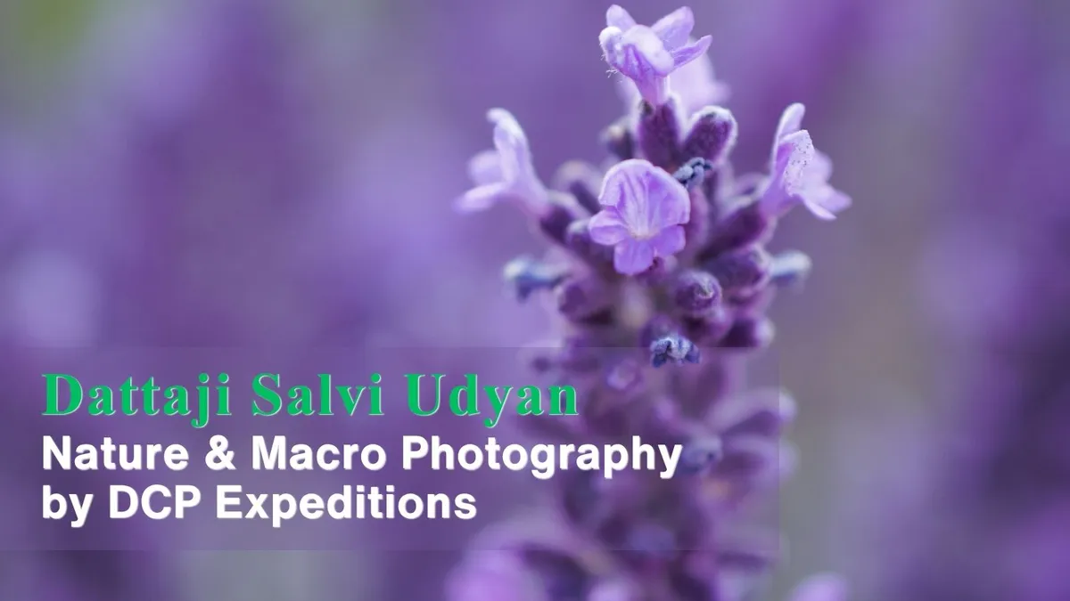 Nature & Macro Photography by DCP Expeditions