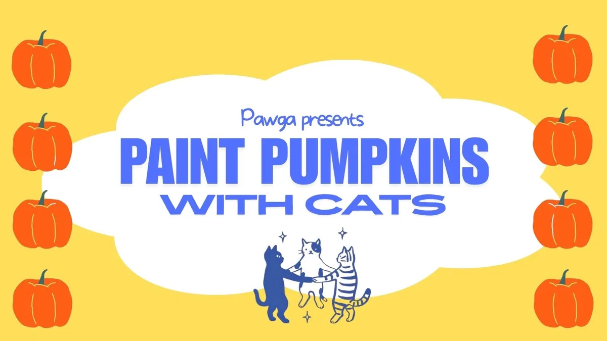 Paint Pumpkins with Cats at Cat Café Studio