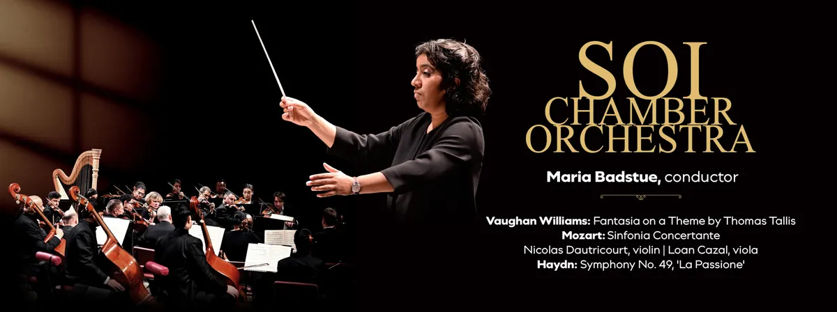 SOI Chamber Orchestra
